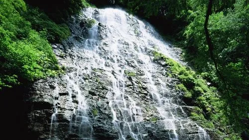 高精度绿色先进